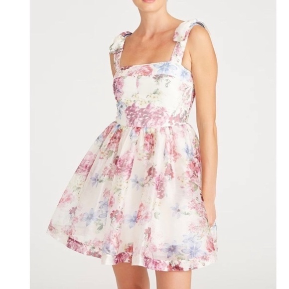 ML Monique Lhullier Peony Dream Dress - Picture 3 of 8